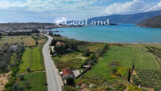 Αγροτεμάχια 4.505 τ.μ. για πώληση, Αργολίδα, Κρανίδι-thumb-22