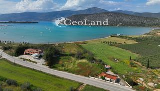 Αγροτεμάχια 4.505 τ.μ. για πώληση, Αργολίδα, Κρανίδι-thumb-15