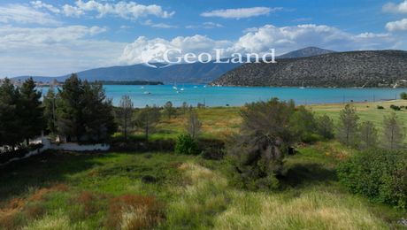 Αγροτεμάχια 4.505 τ.μ. για πώληση