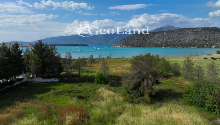 Αγροτεμάχια 4.505 τ.μ. για πώληση, Αργολίδα, Κρανίδι