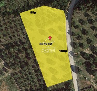 Parcel 5.575sqm for sale-Kassandra » Fourka