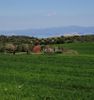 Parcel 11.356sqm for sale-Kassandra » Afitos