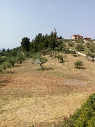 Οικόπεδο 820 τ.μ. για πώληση, Χαλκιδική, Κασσάνδρα