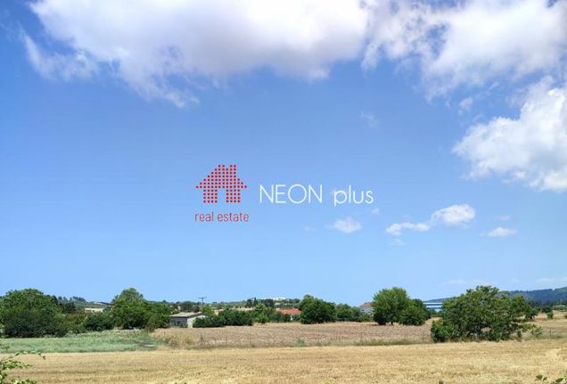 Αγροτεμάχια 7.500 τ.μ. για πώληση, Χαλκιδική, Κασσάνδρα