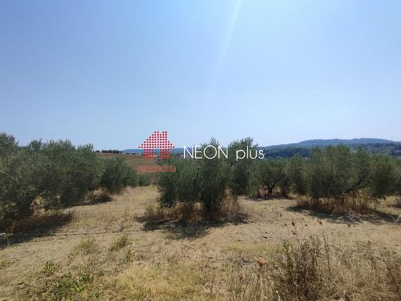 Αγροτεμάχια 22.500 τ.μ. για πώληση, Χαλκιδική, Κασσάνδρα