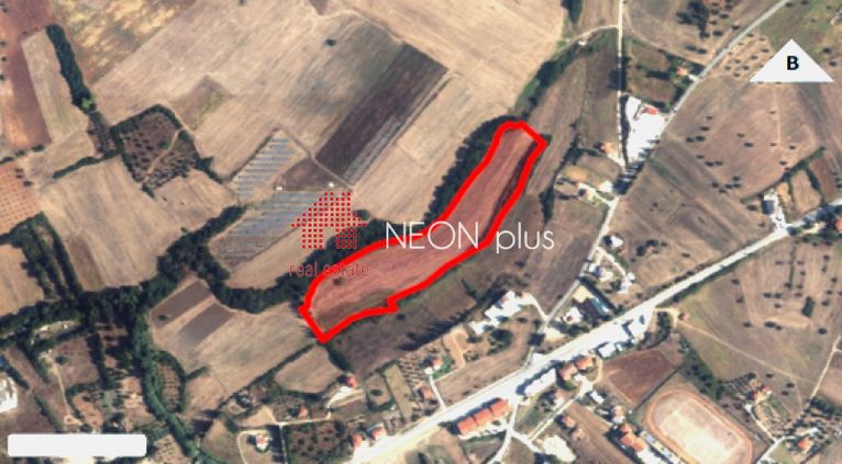 Αγροτεμάχια 30.929 τ.μ. για πώληση, Χαλκιδική, Κασσάνδρα