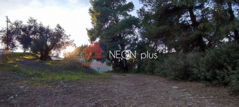 Land plot 1.000 sqm for sale, Chalkidiki, Kassandra