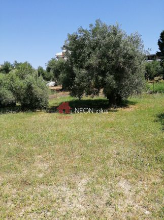Αγροτεμάχια 500 τ.μ. για πώληση, Χαλκιδική, Μουδανιά