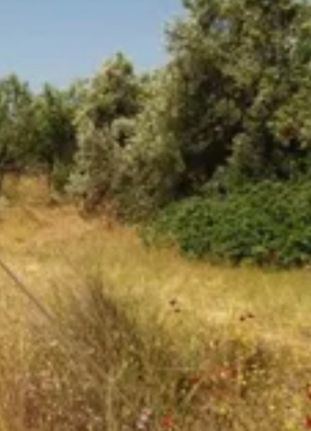 Land plot 500 sqm for sale, Athens - South, Vari - Varkiza