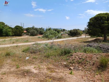 Οικόπεδο 9.000 τ.μ. για πώληση
