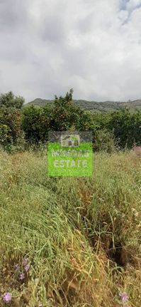 Οικόπεδο 1.425 τ.μ. για πώληση, Ν. Χανίων, Θέρισος