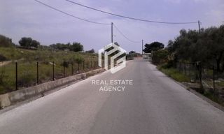 Βιοτεχνικός χώρος 418 τ.μ. πρός πώληση, Ν. Λέσβου, Λέσβος - Γέρας-thumb-3