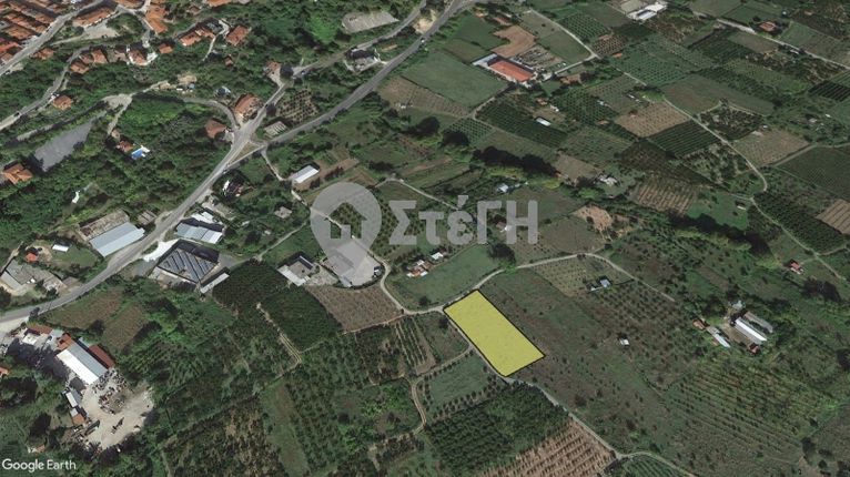 Αγροτεμάχια 2.800 τ.μ. για πώληση, Ημαθία, Νάουσα