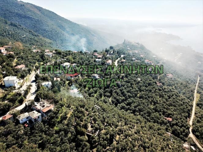 Οικόπεδο 3.000 τ.μ. πρός πώληση, Μαγνησία, Μηλιές