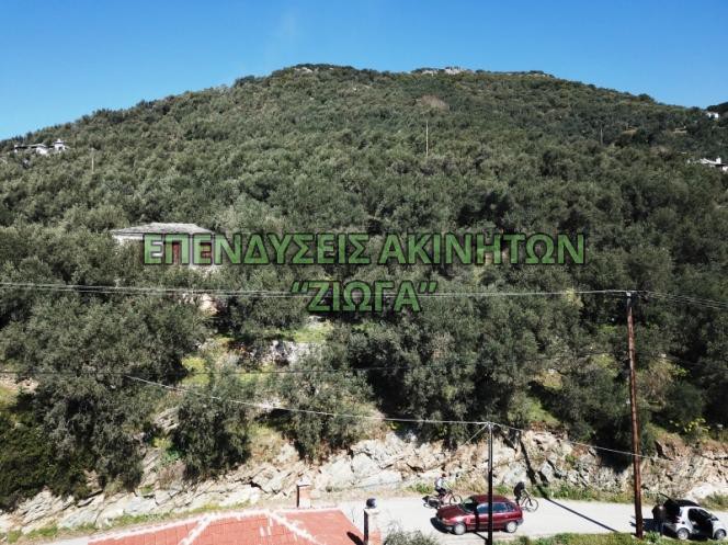 Οικόπεδο 3.000 τ.μ. πρός πώληση, Μαγνησία, Μηλιές
