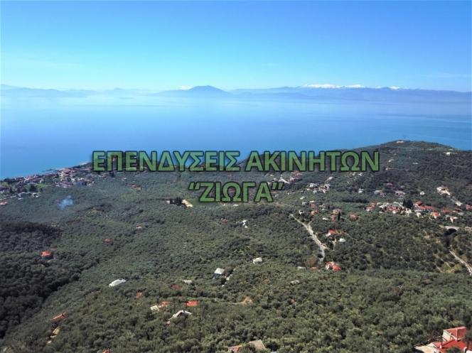 Οικόπεδο 3.000 τ.μ. πρός πώληση, Μαγνησία, Μηλιές
