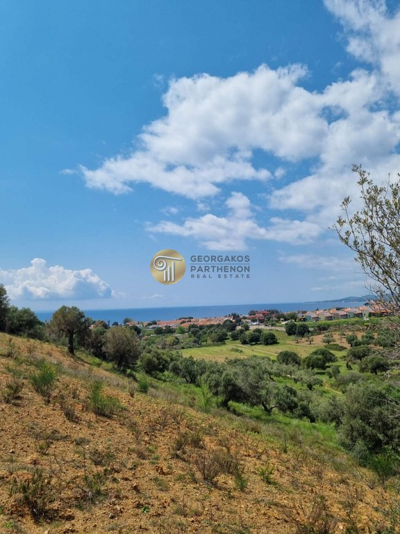 Αγροτεμάχια 9.000 τ.μ. προς πώληση, Νικήτη