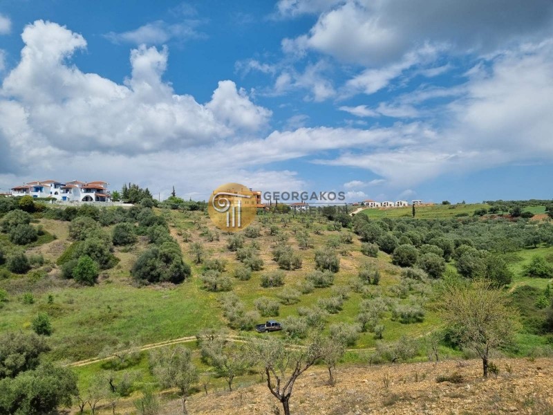 Αγροτεμάχια 9.000 τ.μ. προς πώληση, Νικήτη