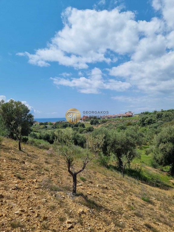 Αγροτεμάχια 9.000 τ.μ. προς πώληση, Νικήτη