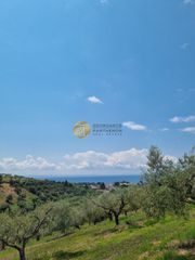 Parcel 9.000 sqm for sale