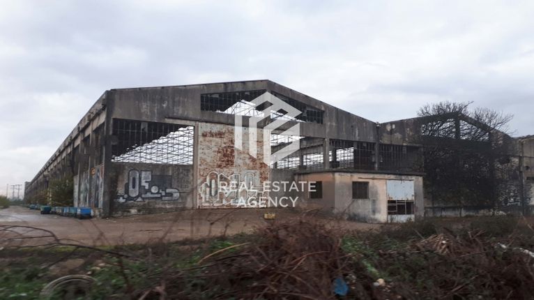 Βιομηχανικός χώρος 19.231 τ.μ. για πώληση, Ν. Ηλείας, Πύργος
