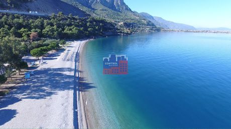 Οικόπεδο 1.000 τ.μ. για πώληση