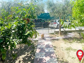 Μονοκατοικία 175 τ.μ. για πώληση