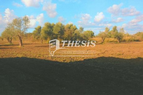 Μονοκατοικία 200τ.μ. για πώληση-Αμαλιάδα » Ροβιάτα