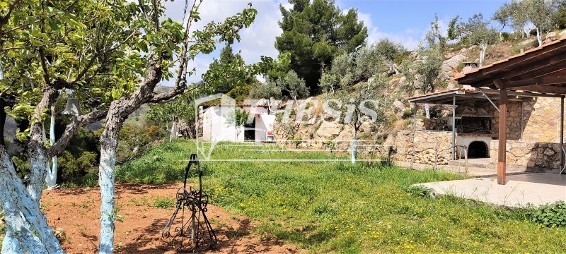 Οικόπεδο 4.075 τ.μ. πρός πώληση, Αττική - Υπόλοιπο, Ωρωπός