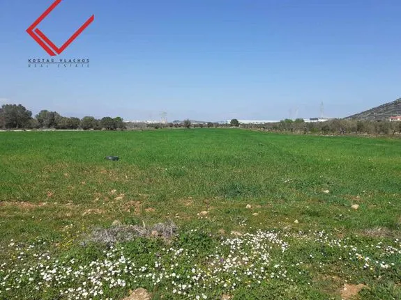 Parcel 18.500 sqm for sale, Rest Of Attica, Kalivia Thorikou