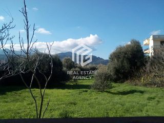 Οικόπεδο 1.129 τ.μ. για πώληση, Ν. Σάμου, Σάμος-thumb-1