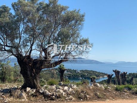 Οικόπεδο 2.000 τ.μ. για πώληση