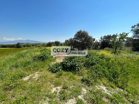 Αγροτεμάχια 2.214 τ.μ. για πώληση