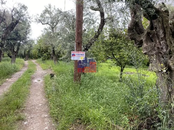 Land plot 990 sqm for sale, Achaia, Diakopto