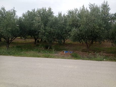 Parcel 2.600sqm for sale-Xilokastro » Kariotika