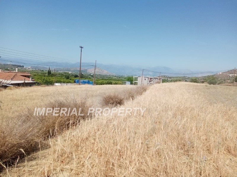 Land plot 5.090 sqm for sale, Argolis, Nea Tirintha