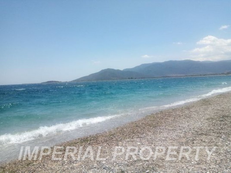Οικόπεδο 2.020 τ.μ. προς πώληση, Άστρος