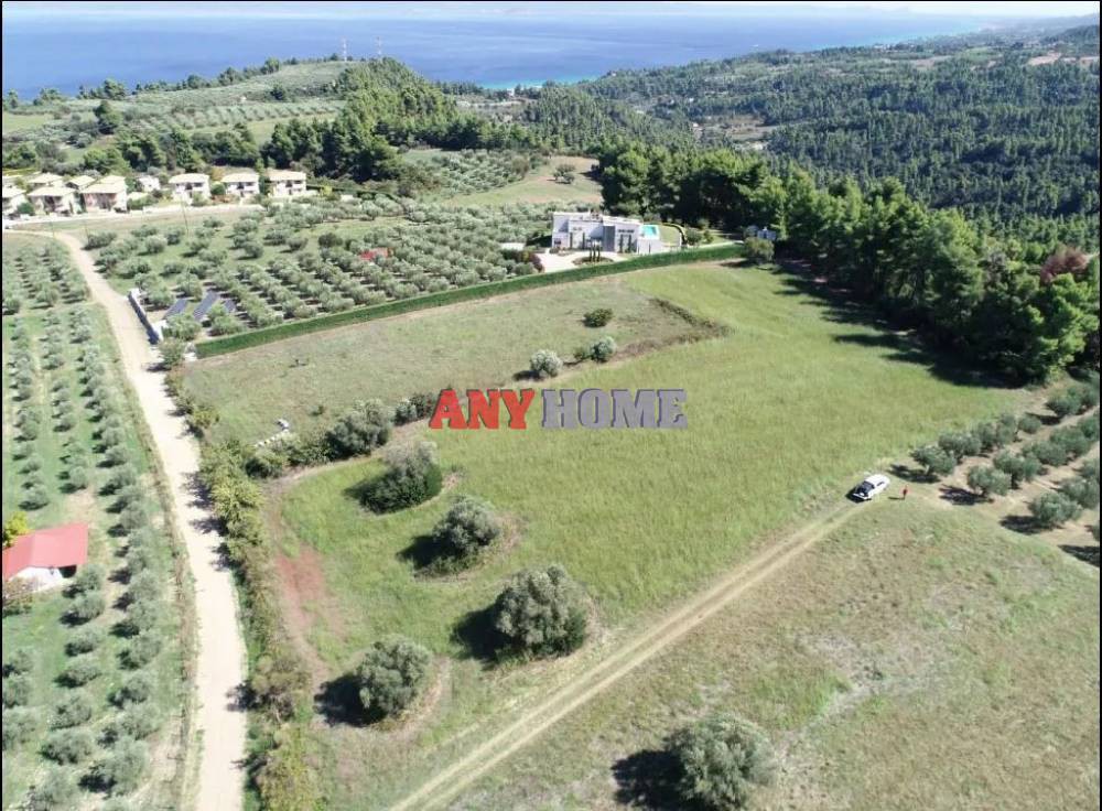 Αγροτεμάχια 8.762 τ.μ. προς πώληση, Κρυοπηγή Κασσάνδρας