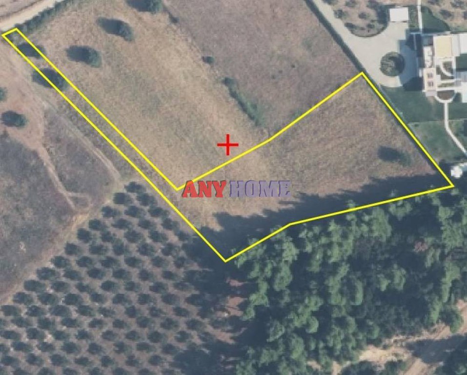 Αγροτεμάχια 8.762 τ.μ. προς πώληση, Κρυοπηγή Κασσάνδρας