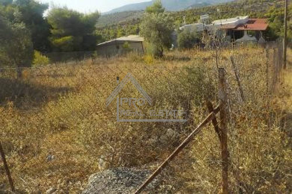 Οικόπεδο 612 τ.μ. πρός πώληση, Νησιά Αργοσαρωνικού, Σαλαμίνα
