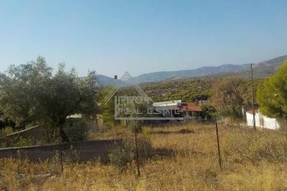 Οικόπεδο 612 τ.μ. πρός πώληση, Νησιά Αργοσαρωνικού, Σαλαμίνα