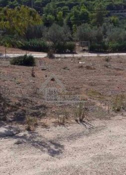Αγροτεμάχια 446τ.μ. για πώληση-Βραυρώνα