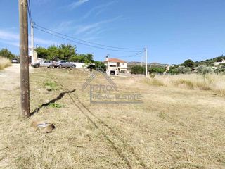 Αγροτεμάχια 446 τ.μ. για πώληση, Αττική - Υπόλοιπο, Βραυρώνα-thumb-2