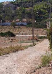 Αγροτεμάχια 446 τ.μ. για πώληση, Αττική - Υπόλοιπο, Βραυρώνα-thumb-1