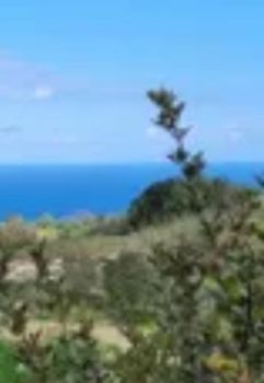 Οικόπεδο 8.000 τ.μ. για πώληση