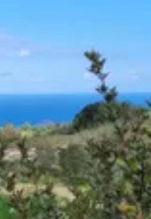 Οικόπεδο 8.000 τ.μ. για πώληση, Αττική - Υπόλοιπο, Σαρωνίδα