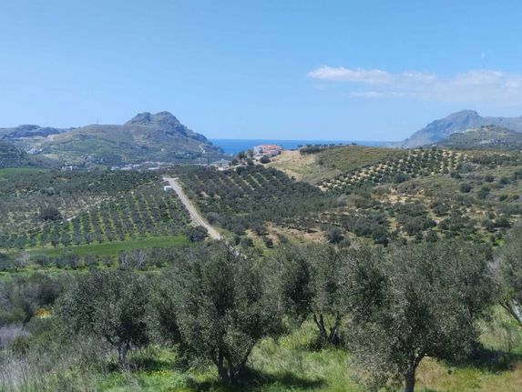 Αγροτεμάχια 6.245 τ.μ. για πώληση, Ν. Ρεθύμνου, Φοινίκας