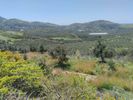 Parcel 6.889sqm for sale-Foinikas » Asomatos