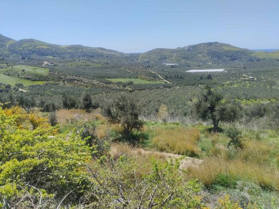 Αγροτεμάχια 6.889 τ.μ. για πώληση, Ν. Ρεθύμνου, Φοινίκας