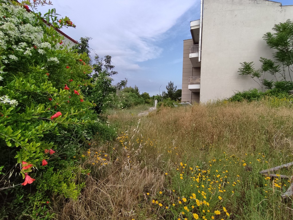 Οικόπεδο 460 τ.μ. πρός πώληση, Θεσσαλονίκη - Περιφ/Κοί Δήμοι, Χορτιάτης